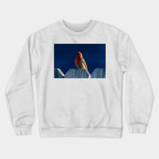 Red House Finch Crewneck Sweatshirt